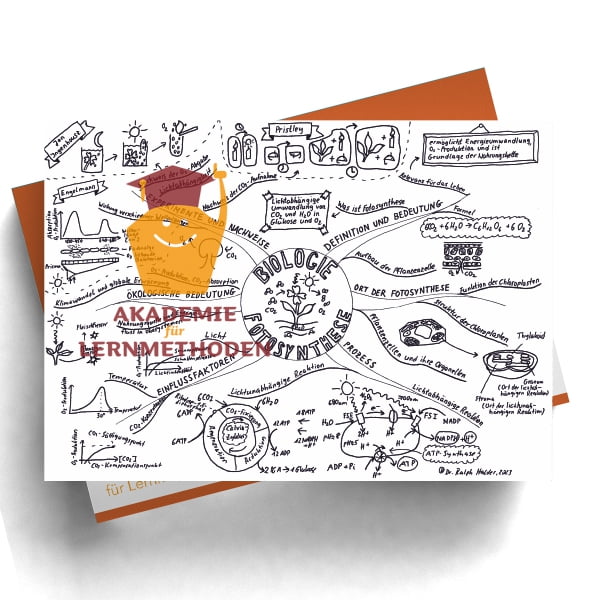Mindmap Fotosynthese