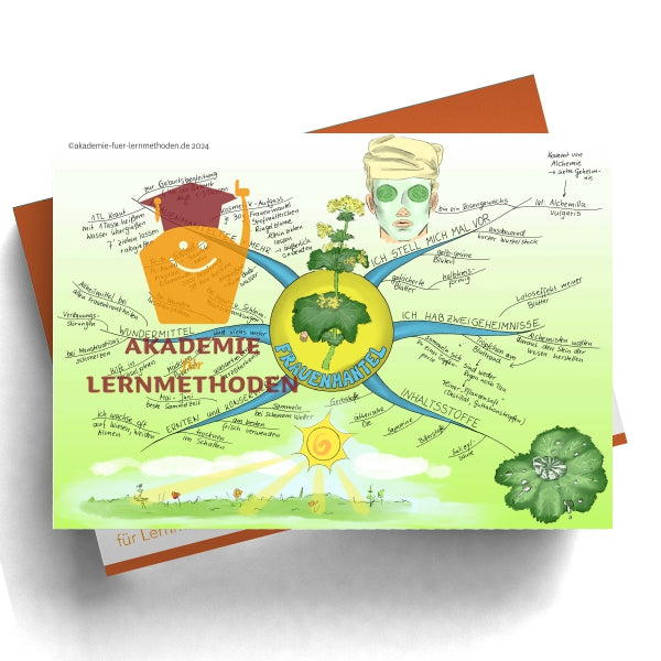 Mind map on Lady's Mantle