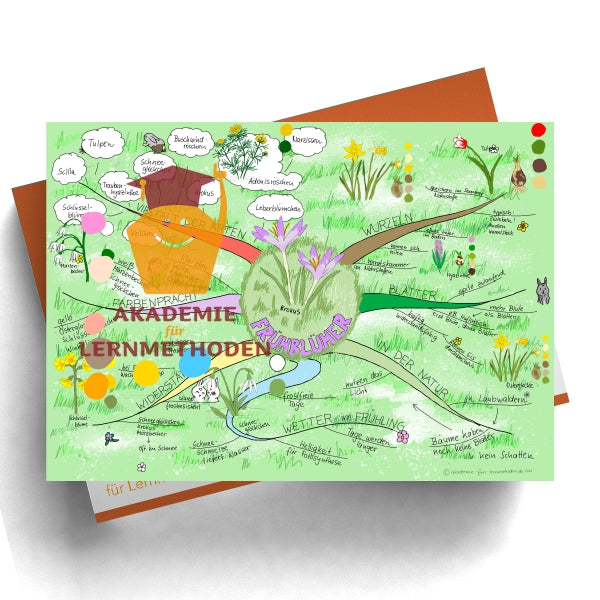 Mindmap sur le thème des fleurs précoces