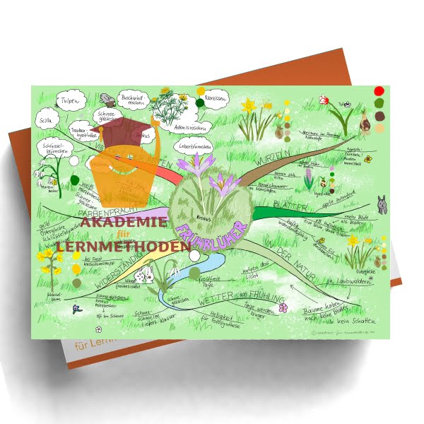 Mindmap zum Thema Frühblüher