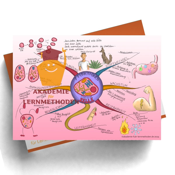 Mindmap über die Funktion der tierischen Zelle
