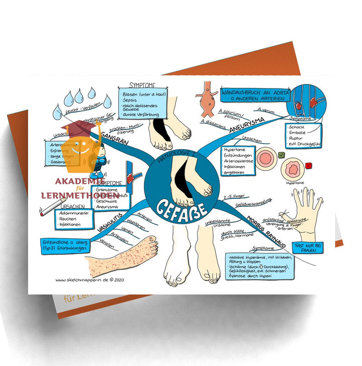 Mindmaps Prüfungswissen med. HP - Gefäße (1-4+106)