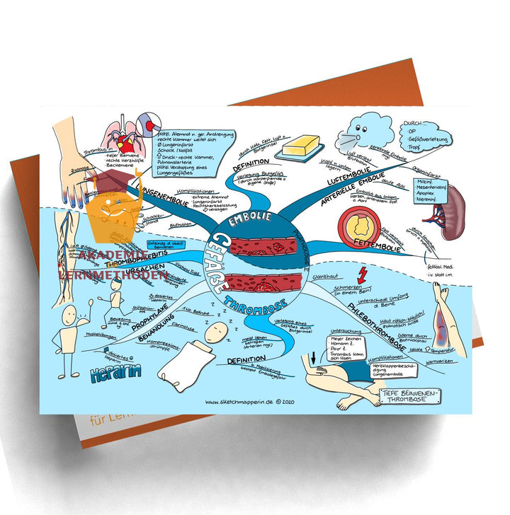 Mindmaps Prüfungswissen med. HP - Gefäße (1-4+106)