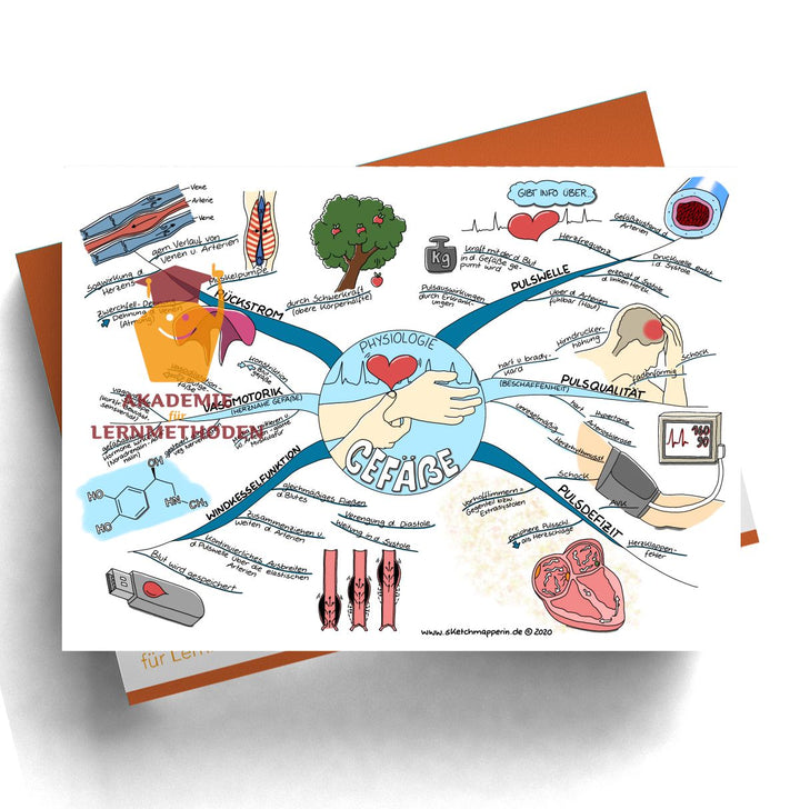 Mindmaps Prüfungswissen med. HP - Gefäße (1-4+106)