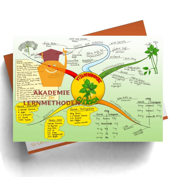 Mindmap zum Thema Giersch