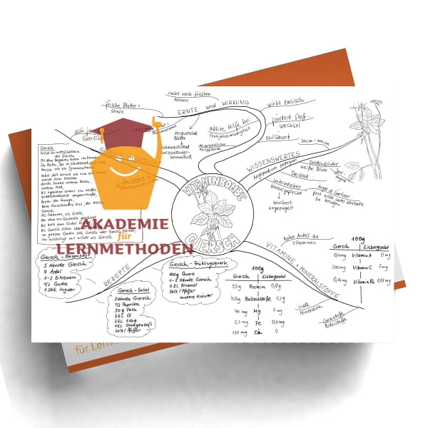 Mindmap zum Thema Giersch