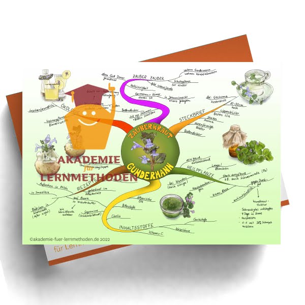 Mindmap zum Thema Gundermann