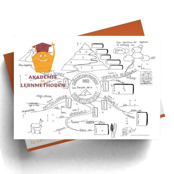 Mindmap zum Thema Höhenschichten der Vegetation mit Lücken