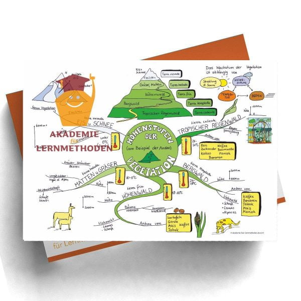Mindmap zum Thema Höhenstufen der Vegetation in Farbe