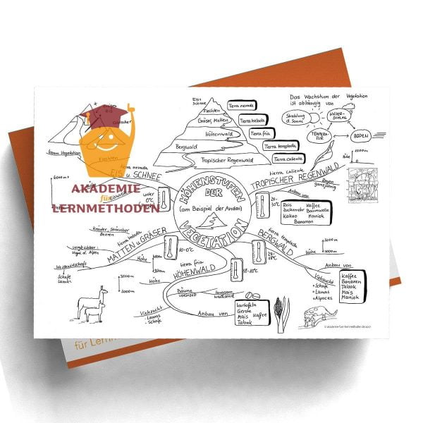 Mindmap zum Thema Höhenstufen der Vegetation in Schwarz-Weiß