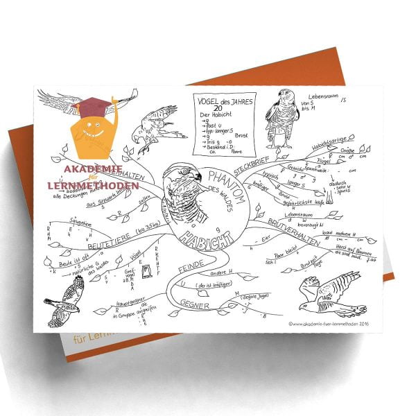 Mindmap Habicht