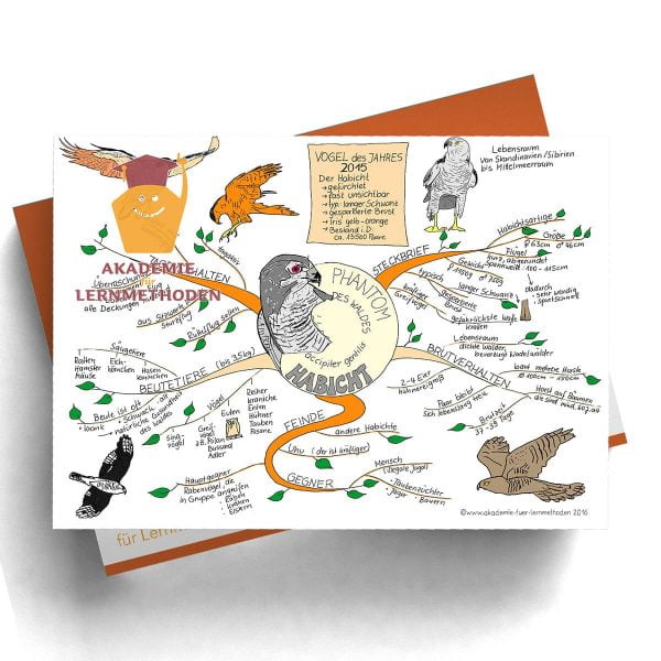 Mindmappaket Biologie 4 - Vögel I - die Herrscher der Lüfte [Digital]