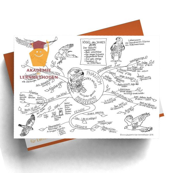 Mindmap Habicht