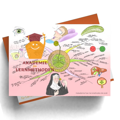 Mindmap Habichtkraut