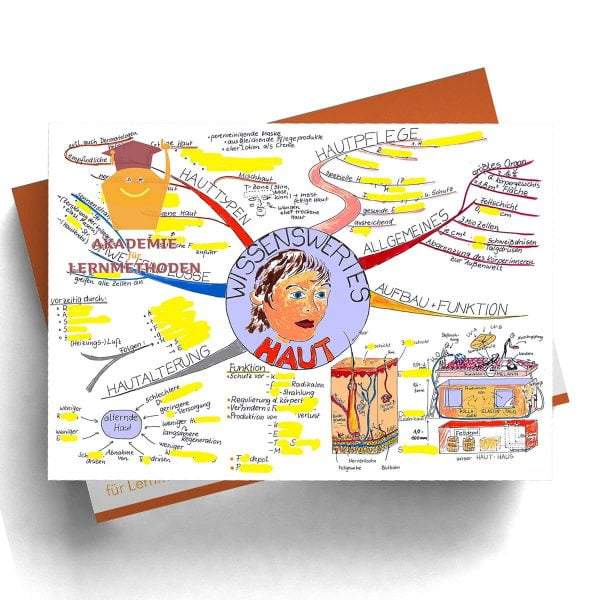Mindmap Die Haut