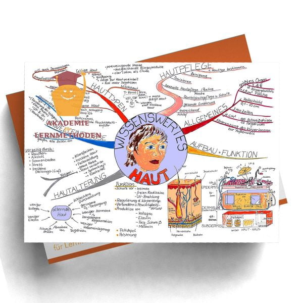 Mindmappaket Biologie 1 - Lehrreiches aus unserem Körperinnerem [Digital]