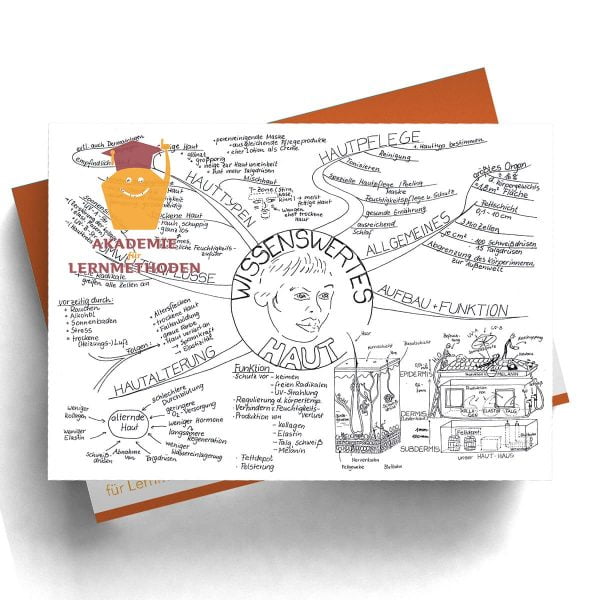 Mindmap Die Haut