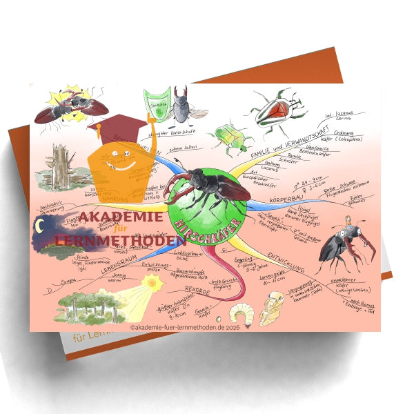 Carte mentale sur la perdrix grise