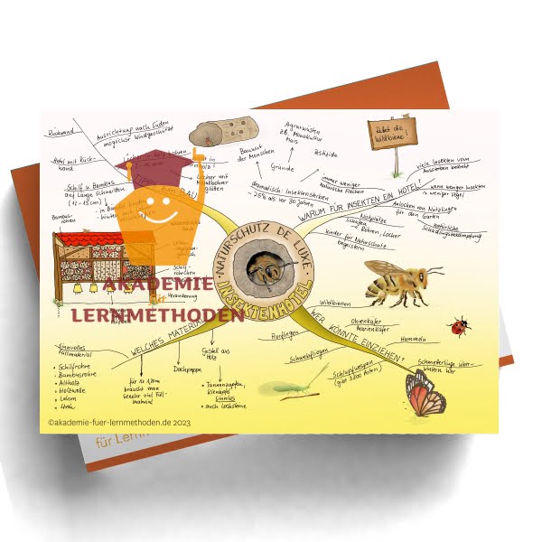 Mindmap Das Insektenhotel