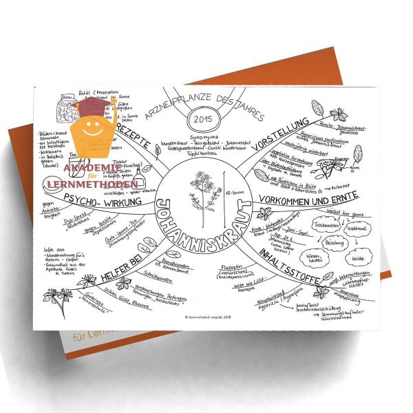 Mindmap Johanniskraut