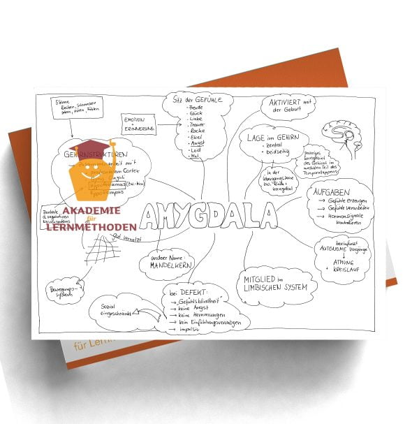 KAWA Amygdala in Schwarz Weiß