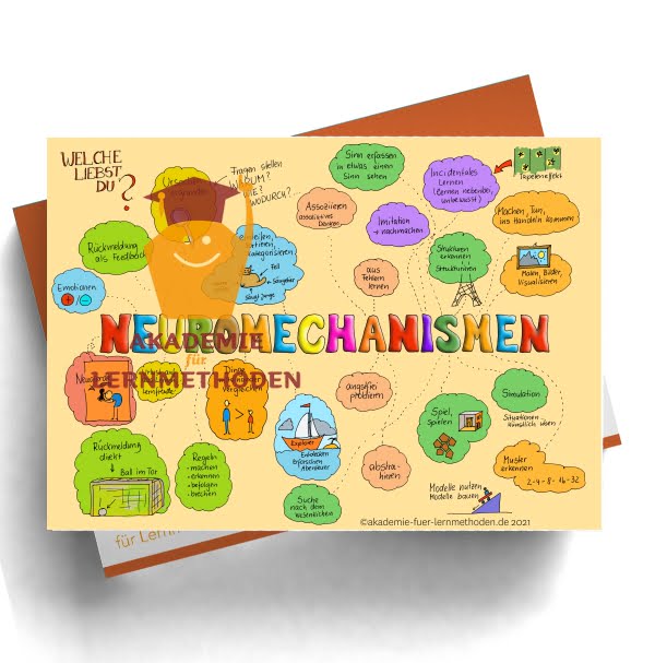 KAWA Neuromechanismus in Farbe