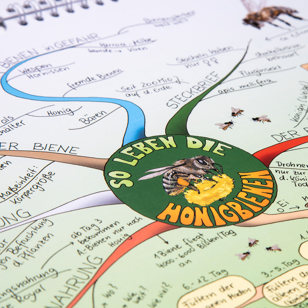 Mindmap-Buch Nr. 10 - der Mindmap-Kalender 2021