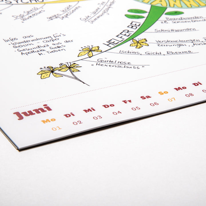 Mindmap-Buch Nr. 9 - der Mindmap-Kalender 2020