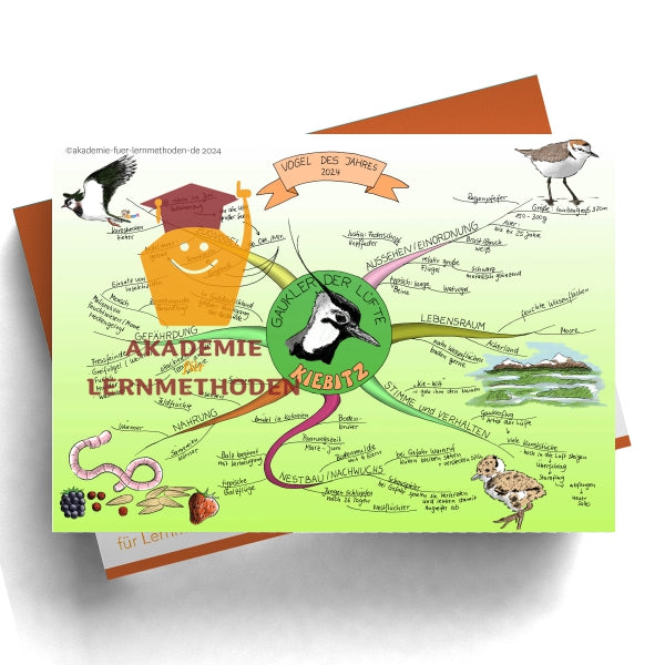 Mindmap sur le vanneau huppé