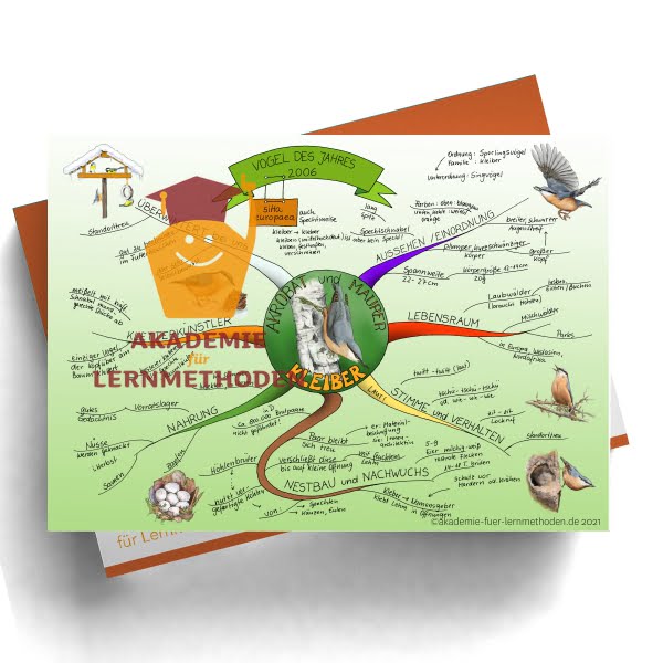 Mindmap zum Thema der Kleiber