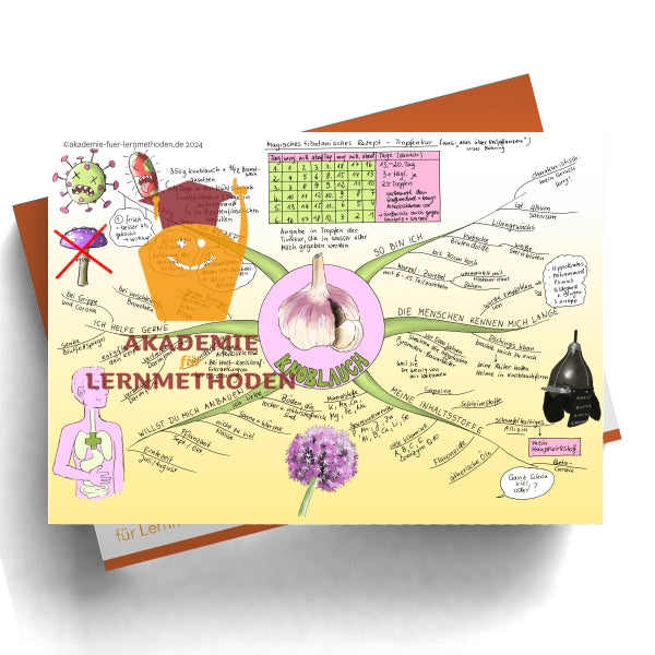 Mindmap Gesamtpaket Heilkräuter