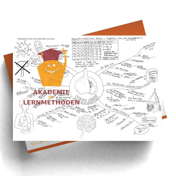 Mindmap zum Thema Knoblauch