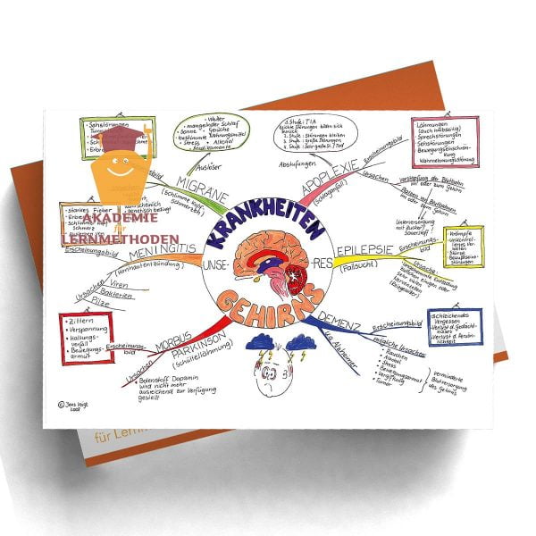 Mindmappaket Biologie 2 - Das Gehirn - unser Zentralrechner [Digital]