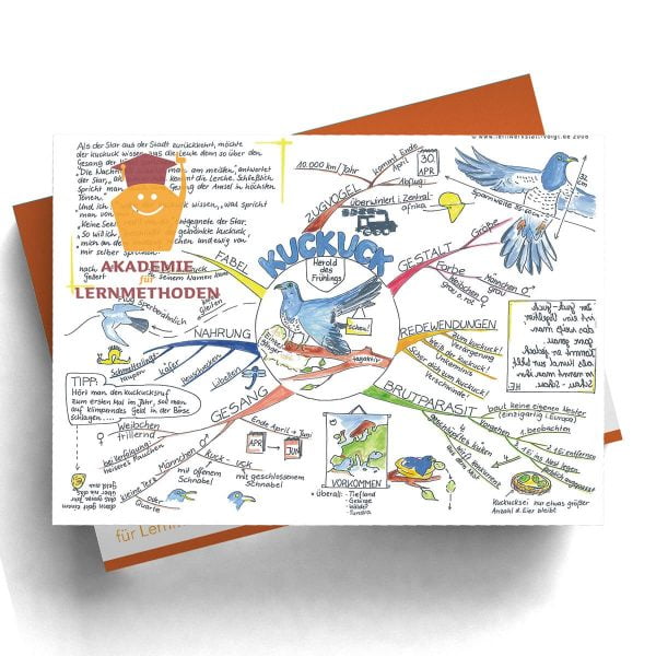 Mindmappaket Grundschule 1 - Abteilung Tiere [Digital]