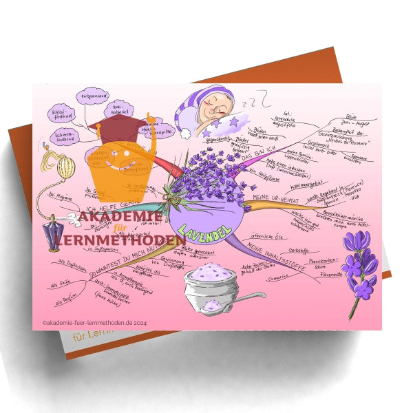 Mindmap sur la lavande