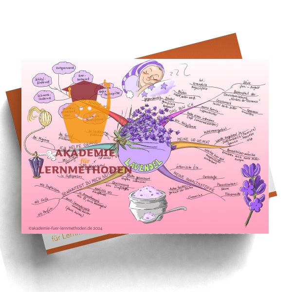 Mindmap zum Lavendel