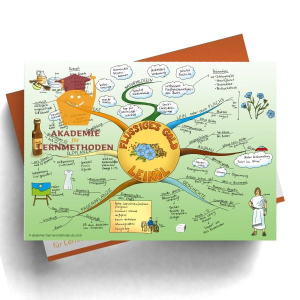 Mindmap zum Thema Leinoel