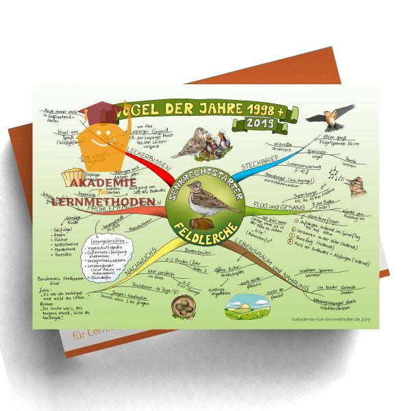 Mindmap zum Thema Lerche in Farbe