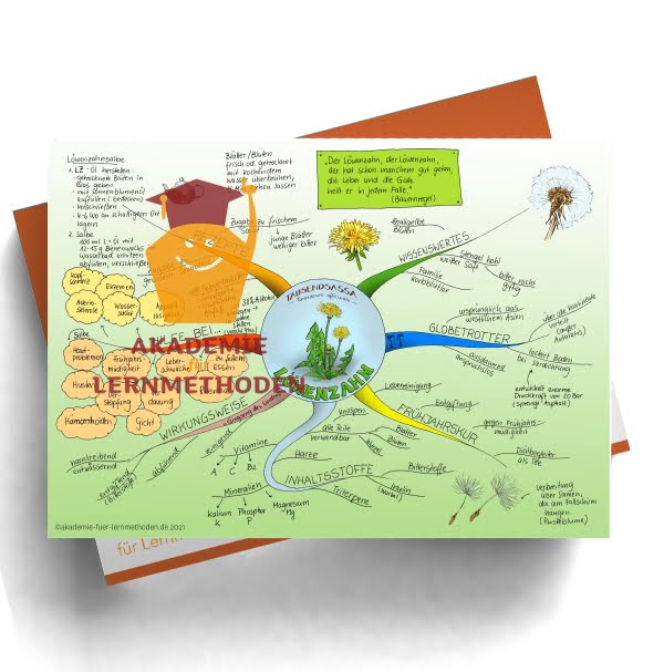 Mindmap zum Thema Löwenzahn