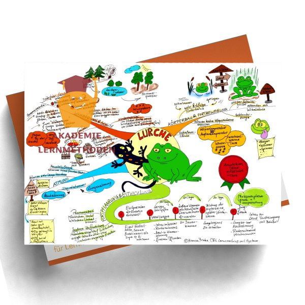 Mindmap zum Thema Lurch in Farbe