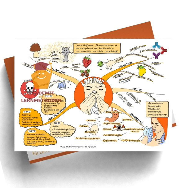 Mindmap zum Thema Lymphe_Allergie für den med. Heilpraktiker