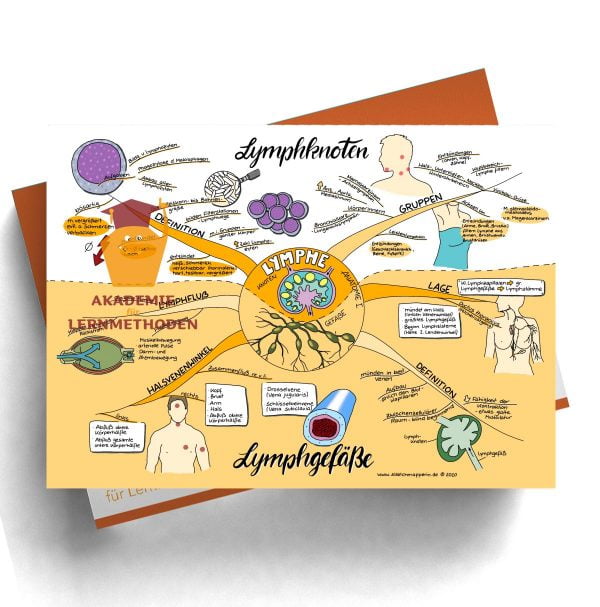 Mindmap zum Thema Lymphe_Anatomie I für den med. Heilpraktiker