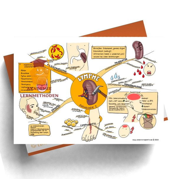 Mindmap zum Thema Lymphe_Pathologie I für den med. Heilpraktiker