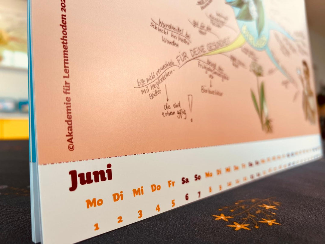 Mindmap-Buch Nr. 15 - der Mindmap-Kalender 2026