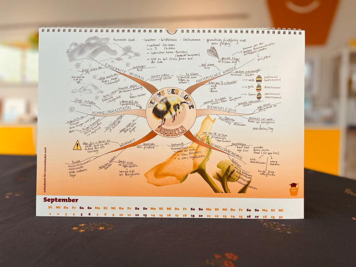 Mindmap-Buch Nr. 15 - der Mindmap-Kalender 2026