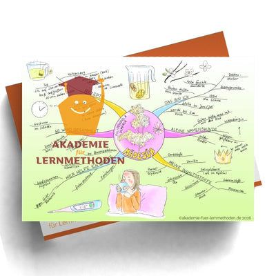 Mindmap Mädesüß