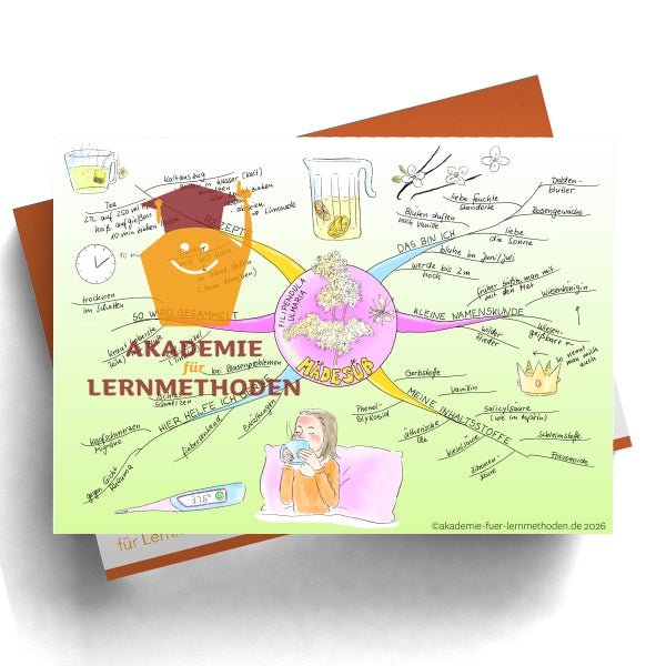 Mindmap Mélisse