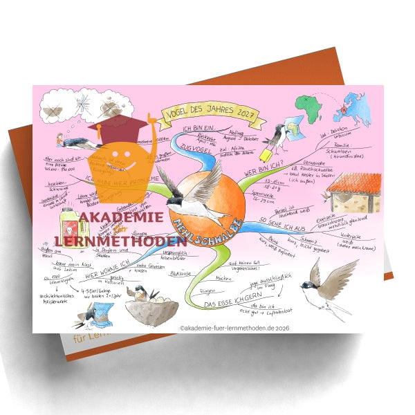 Mindmap Mehlschwalbe