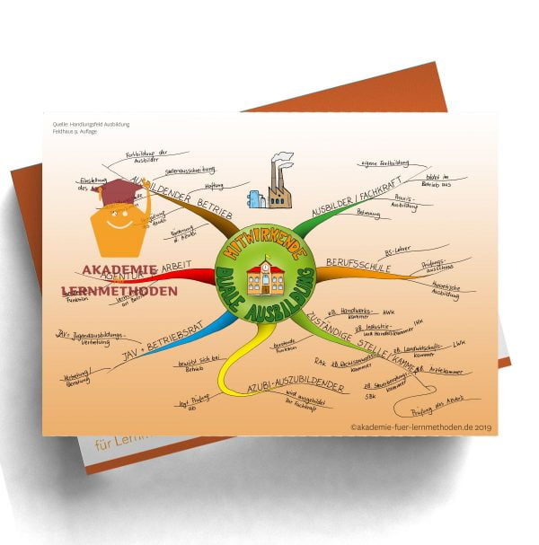 Mindmap für die AEVO über die Mitwirkenden der dualen Ausbildung
