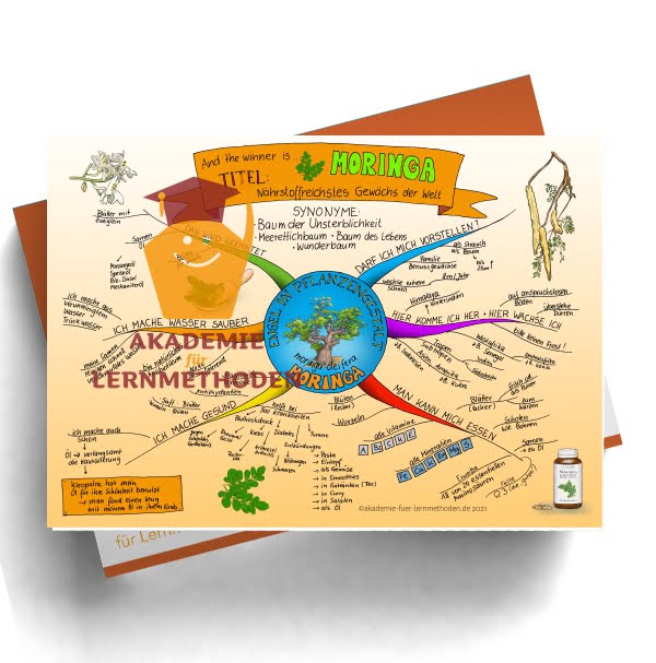 Mindmap zum Thema Moringa